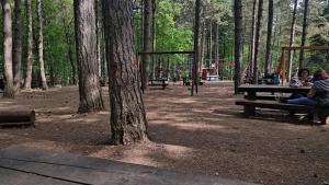 un gruppo di persone sedute su un tavolo da picnic in una foresta di Soba Soko a Soko Banja