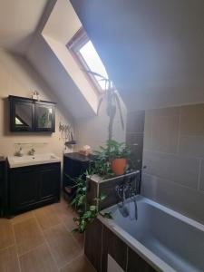 TV a/nebo společenská místnost v ubytování Bámbi Apartman + 13 fotografií