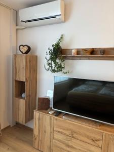 TV a/nebo společenská místnost v ubytování MountainLOVE