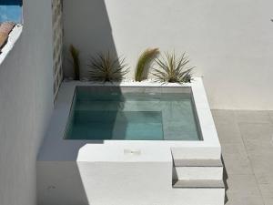 a swimming pool with plants on the side of a building at 27 côté remparts in Aigues-Mortes
