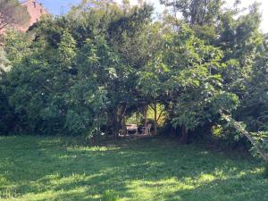 a bench sitting under trees in a field at U FARNIENTE in Patrimonio