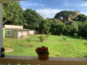 a vase of flowers sitting on a ledge with a yard at U FARNIENTE in Patrimonio