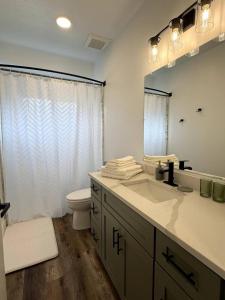 a bathroom with a sink and a toilet and a mirror at Spacious Accessible Ground Floor Getaway A101 in Juneau +19 photos