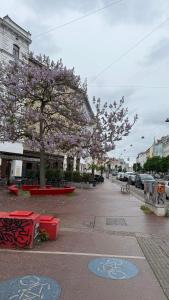 a street with trees with pink flowers on it at Vienna Laurenz apartment in Größing
