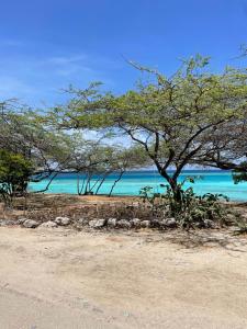 Φωτογραφία από το άλμπουμ του Chez Lilly σε Oranjestad