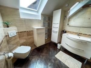 a bathroom with a toilet and a sink and a skylight at Apartment Landscape in Zgornje Gorje +34 photos