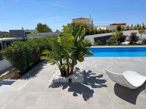 Πισίνα στο ή κοντά στο Quinta Ria Formosa