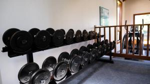 Fitness centrum a/nebo fitness zařízení v ubytování Painter's Lodge