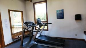 Fitness centrum a/nebo fitness zařízení v ubytování Painter's Lodge