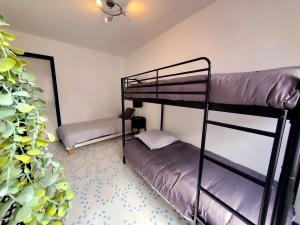 two bunk beds in a room with a plant at Appartement - 57m2 - Montluçon Centre Ville in Montluçon