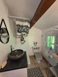 un bagno con lavandino e WC di Joli appartement calme vue montagne dans le centre a Corte