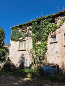 un edificio ricoperto di edera con scale e finestre di Joli appartement calme vue montagne dans le centre a Corte