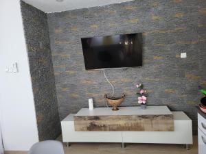 Et tv og/eller underholdning på Apartmani Vir