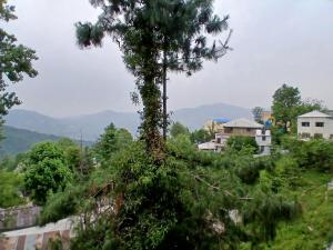 Naturlandskabet i nærheden af villaen