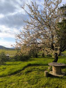 Paesaggio naturale nelle vicinanze dell'agriturismo