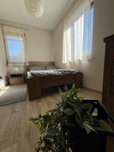 Un dormitorio con una cama y una maceta. en Maria Andrea House, en Balatonkeresztúr
