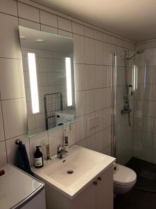 a bathroom with a sink and a toilet and a mirror at Staupslia Apartment in Levanger