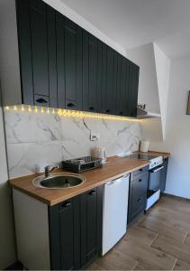 Kuchyňa alebo kuchynka v ubytovaní Apartman Tomić