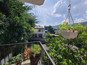 Zahrada ubytování Anu Homestay