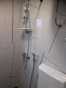 a white bathroom with a shower and a toilet at Vila Ambera Sarajevo in Kamenjača