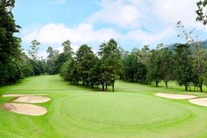 Golf v penzionu nebo okolí