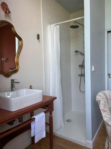 a bathroom with a sink and a shower at Chambre hôte double 1 in Castelsarrasin