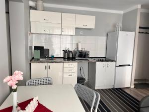 Kuchyň nebo kuchyňský kout v ubytování Centrum Pańska3 Apartment PARKING