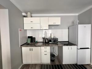 Kuchyň nebo kuchyňský kout v ubytování Centrum Pańska3 Apartment PARKING