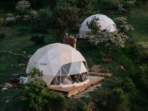 Aed väljaspool majutusasutust Aura - Glamping Experience