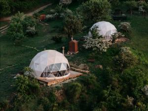 Aed väljaspool majutusasutust Aura - Glamping Experience