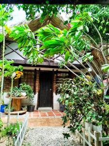 Gallery image of Hostal Kaia in Santa Marta
