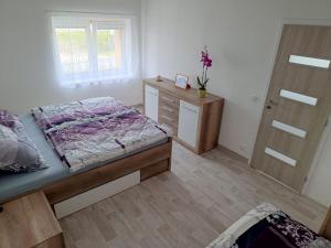 Postel nebo postele na pokoji v ubytování Apartmán Bačka