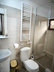 een badkamer met toilet en glazen douche bij Vila Marius-camere de închiriat in Eforie Nord