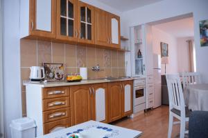Kuchyň nebo kuchyňský kout v ubytování A Cozy Nest in Teslic