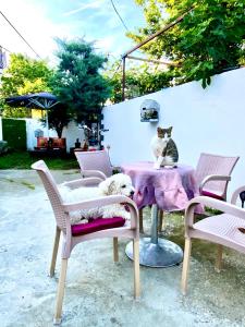 Зображення з фотогалереї помешкання Artists Guest House у місті Шкодер