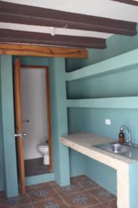 グアナファトにあるCasa 3 Catrinas, whole house, Centrally Locatedの洗面台とトイレ付きのバスルーム