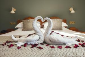two white swans making a heart on a bed at Stoke Lodge Hotel in Stoke Fleming