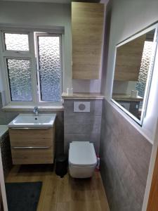 a bathroom with a toilet and a sink and two windows at Glenleven share house in Bristol