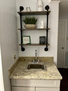 a kitchen counter with a sink and shelves at Cozy 2BR 2BA apt close to Siegen & Womans in Baton Rouge +4 photos