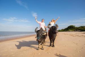 a man and woman riding on the backs of animals on the beach at Pousada dos Guarás in Salvaterra