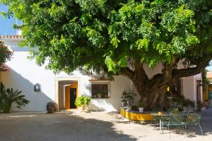 a table under a tree with chairs under it at Precioso chalet con gran algarrobo y piscina privada in La Jara