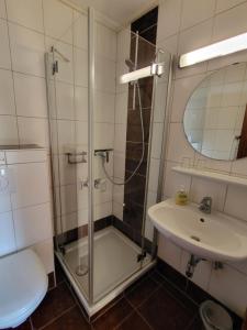 a bathroom with a shower and a sink and a toilet at Hotel Mosel-Landhaus in Briedern +36 photos