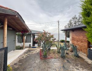a house with a yard with cactuses in a driveway at Sazlı Shores in Ayvacık