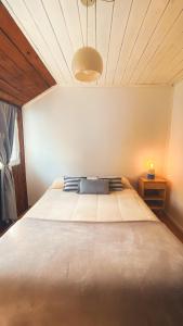 a bedroom with a large bed in a room at Hostel Like Quijote in San Carlos de Bariloche