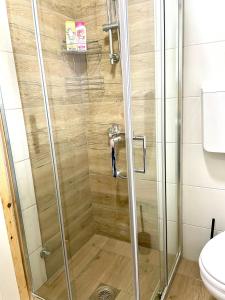 a shower with a glass door in a bathroom at Apartmani Miris dunja Tara in Šljivovica