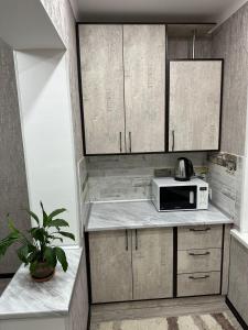 a kitchen with a microwave and a plant on a counter at Квартира in Shymkent