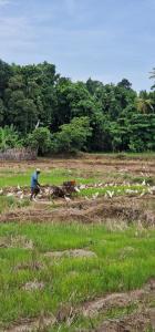 Gallery image of not in Nikawatawana