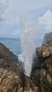 Gallery image of not in Nikawatawana +4 photos