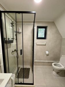 a bathroom with a shower and a toilet at A-frame Durmitor in Žabljak +25 photos