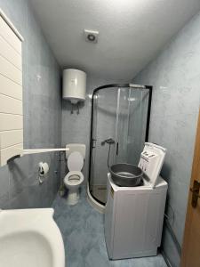 a bathroom with a shower and a toilet and a sink at Apartman 5 Majba in Zaglavice